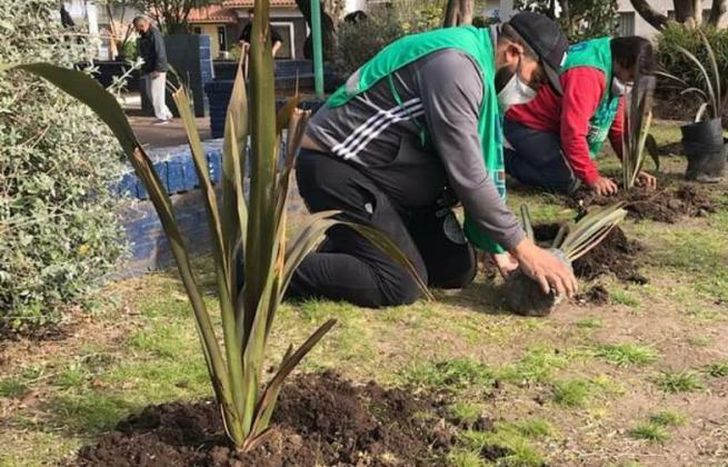 Todas las semanas se recuperan espacios y se forestan otros.