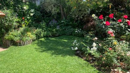 El curso está destinado para los amantes de la jardinería.