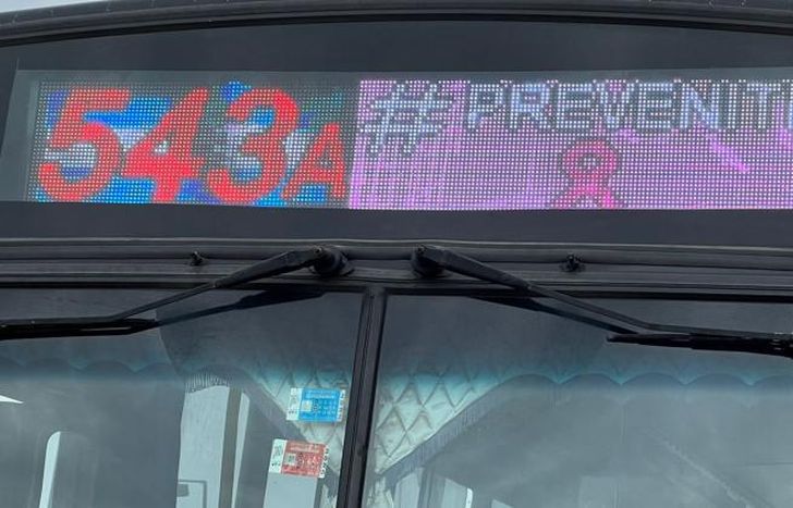 Los mensajes en cada uno de las líneas de la empresa de transporte lomense.