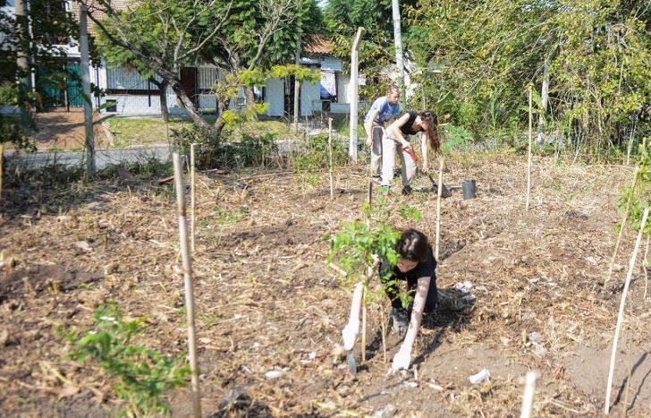 Los participantes aprenderán a producir y plantar diferentes especies.