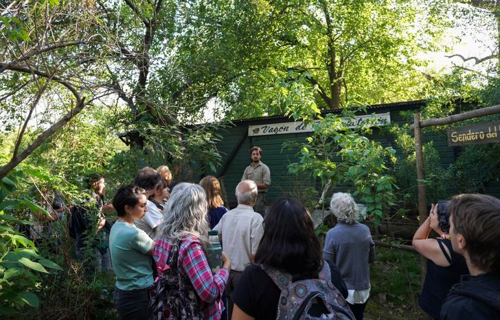 Siguen las actividades ambientales gratuitas en Lomas.