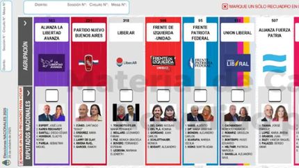 cuanto le costaria al estado reemplazar las boletas de espert