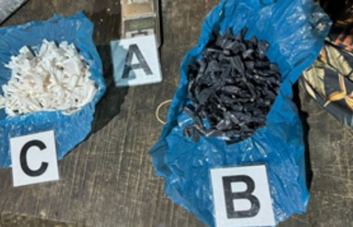 Decenas de estupefacientes incautados por las autoridades.