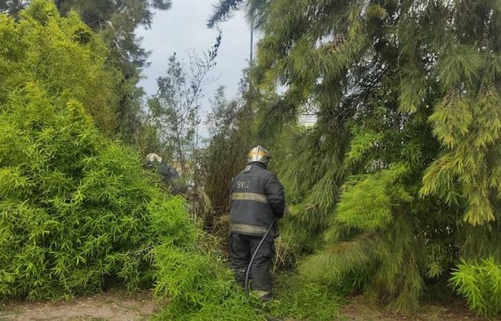 Rápido accionar de los Bomberos de Lomas.