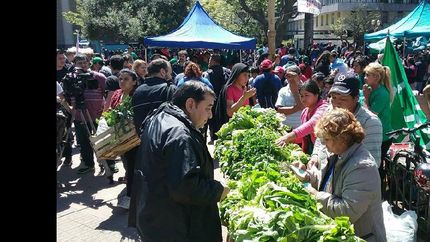 Temperley: preparan un gran verdurazo para paliar la crisis