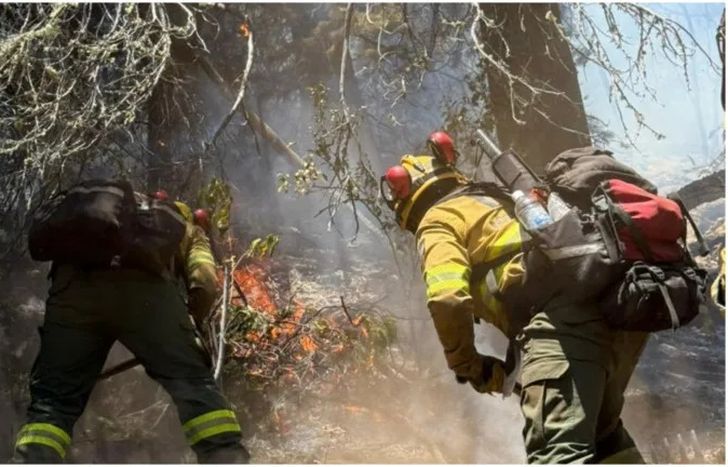 ¿Qué medida tomó el Gobierno de Javier Milei ante el incendio en Chubut?