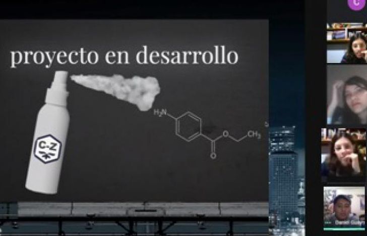 Los alumnos trabajaron desde la virtualidad.