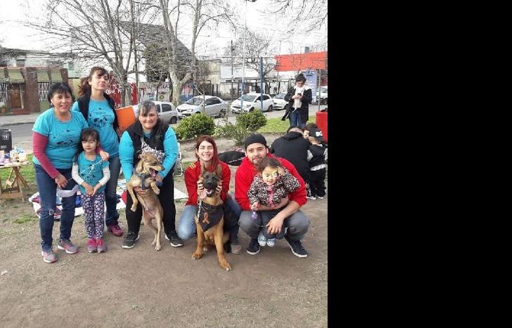 los vecinos podrán llevarse una mascota a sus hogares