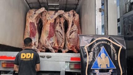 El camión recuperado por la DDI de Lomas de Zamora.