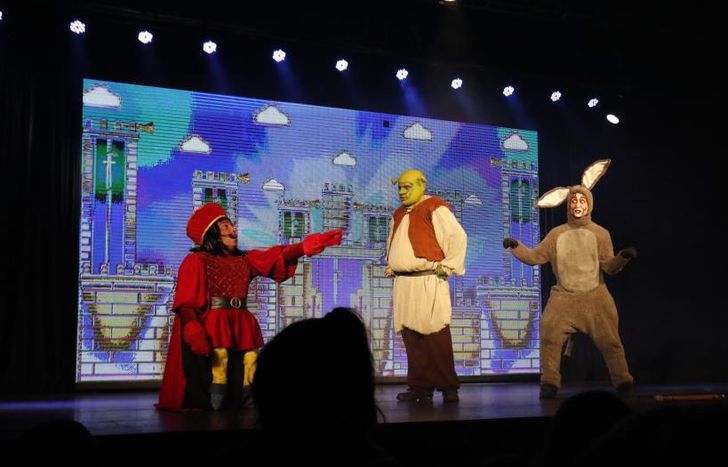 Tanto las luces como el sonido estarán adaptados a las necesidades del público.