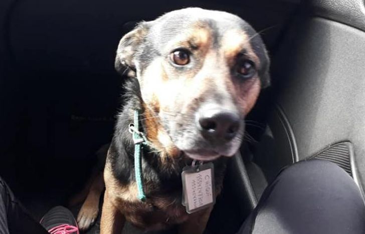 Necesitan encontrar a Chiqui.