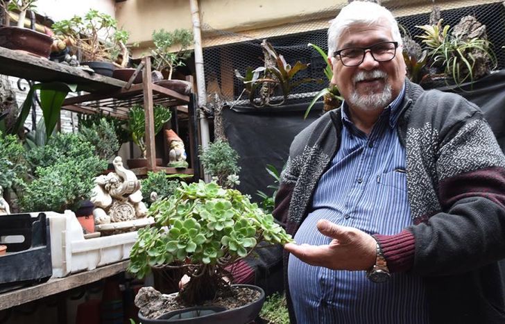 Héctor arrancó con su pasión por los bonsái desde que tenía 15 años.