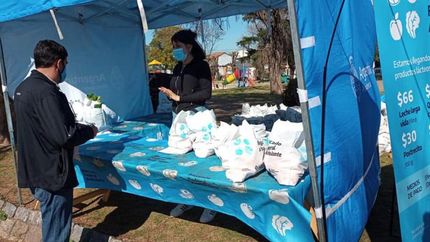 Venderán productos de estación provenientes el Mercado Central. Venderán productos de estación provenientes el Mercado Central.