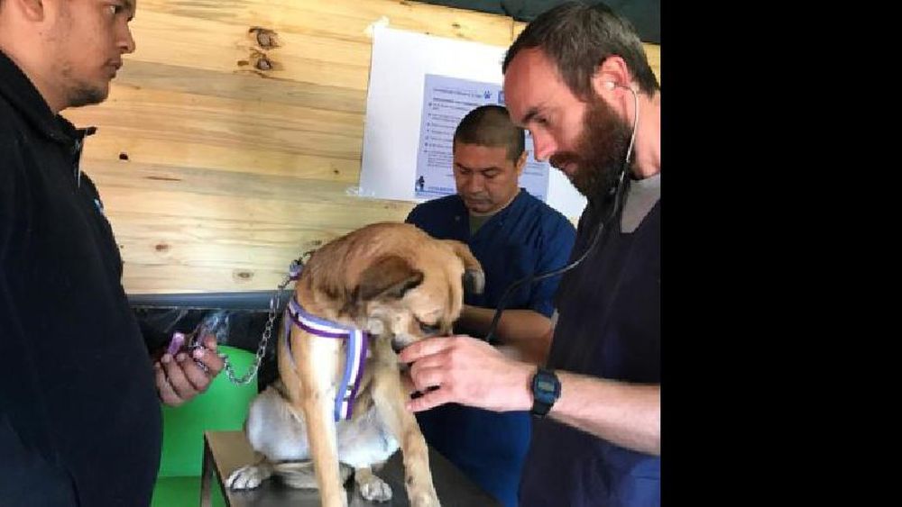 hay fechas durante todo el mes.