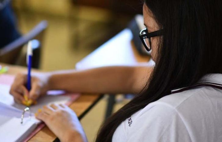 Recibirán un monto mensual de $5.677 pesos durante un año.