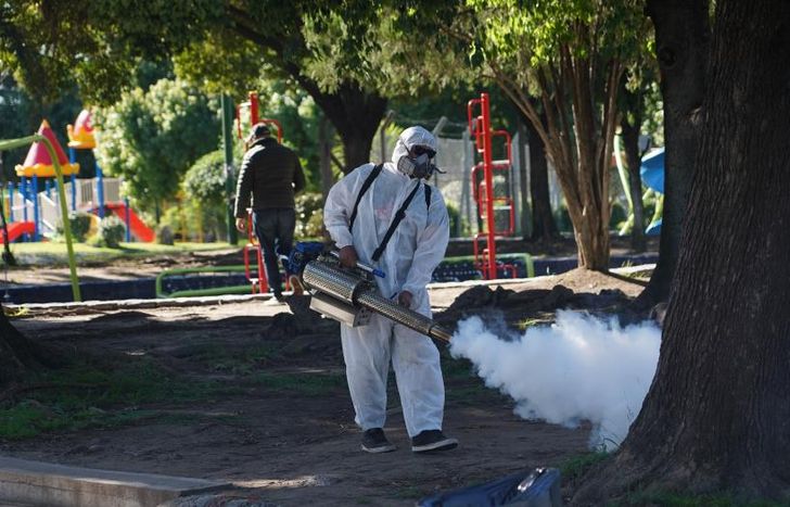 Fumigan para controlar al mosquito en su etapa adulta.