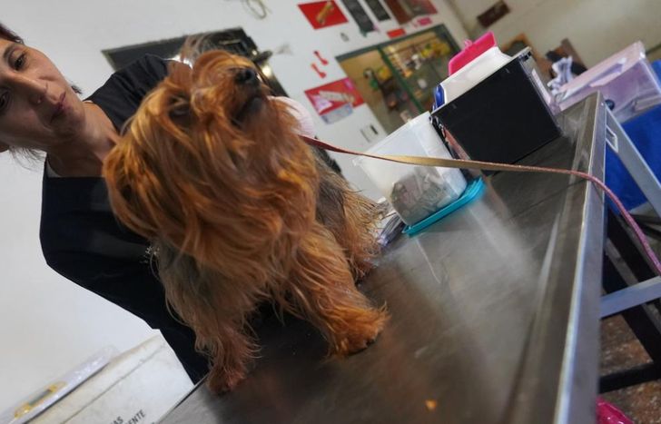 Los profesionales atenderán por orden de llegada.