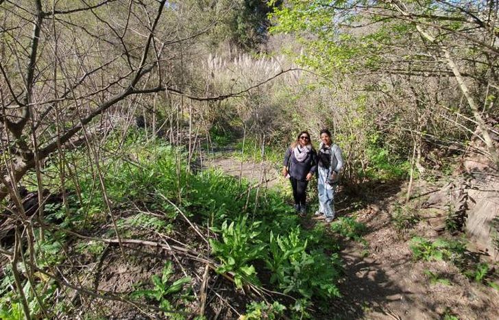 Un espacio para mantenerlo limpio.