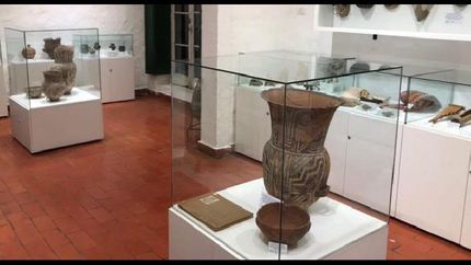 Lomas lanzó la propuesta El Museo va a tu casa