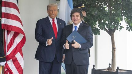 Javier Milei y Donald Trump.