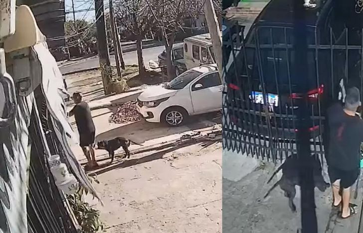 El momento del abandono quedó filmado.