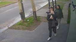 La pareja que robó al gato en Temperley quedó filmada.