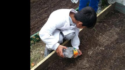 en las vacaciones, continuan los talleres de huerta