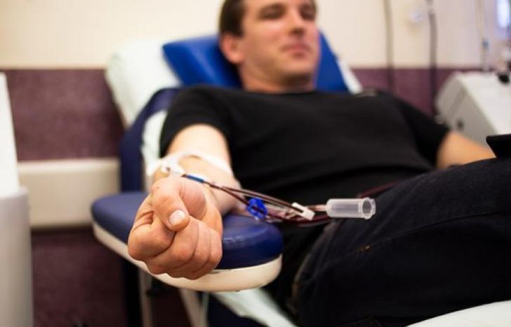 El viernes 6 en la Escuela Municipal de Arboricultura, Jardinería y Ecología aplicada (Emajea).