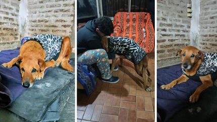 Bajo techo y con amor de familia.