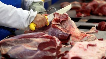 Podría haber aumentos de entre un 10% y 20%.