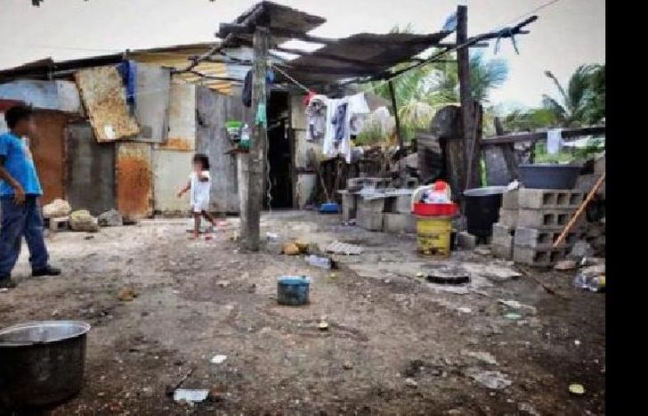 la colecta se realiza a nivel nacional.