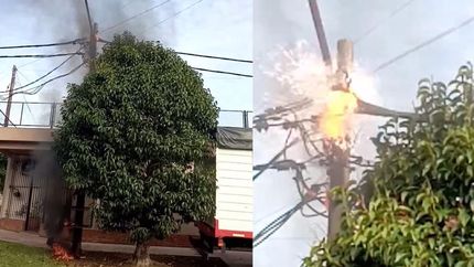 El incendio fue muy cerca de un árbol.