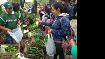 se realizara un nuevo ?feriazo? en almirante brown