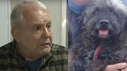 La víctima del robo, lamentó el asesinato de su perro.