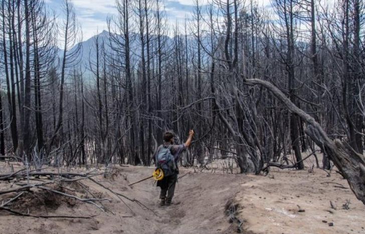 Brigadistas, bomberos, voluntarios y pobladores siguen trabajando.