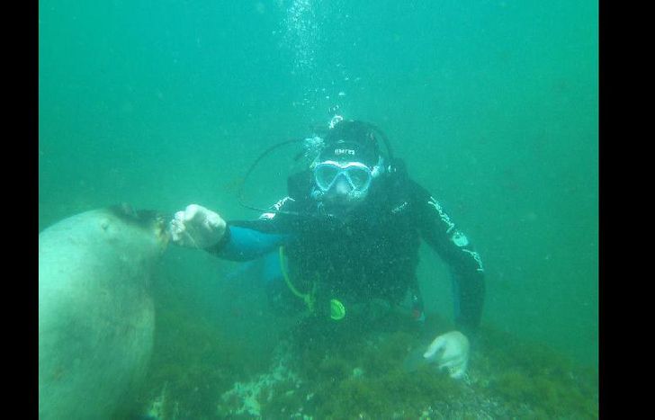 Se recomienda bucear en Madryn en primavera y verano.
