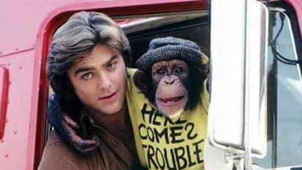 las aventuras de b.j, un camionero rebelde y un mono