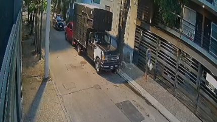 El robo del gato en el barrio Inglés de Temperley quedó filmado.