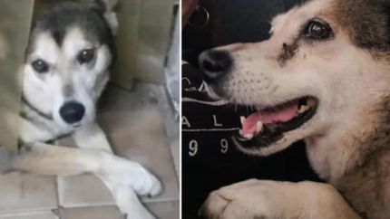 Ramona tenía 10 años y recibía el afecto de la gente del vecindario.