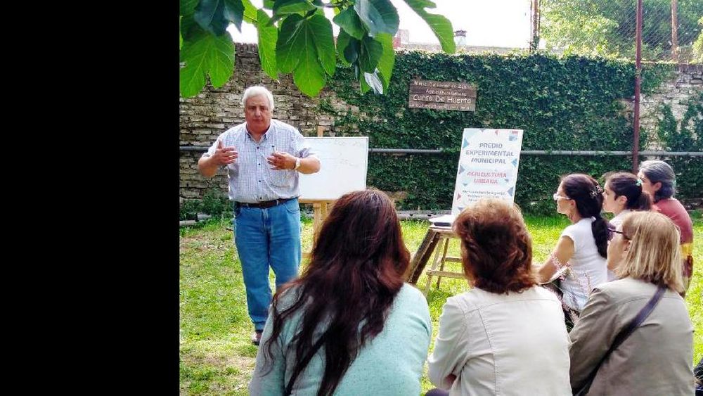 las clases son teórico-prácticas.