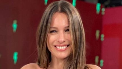 ¿pampita comienza su carrera politica?