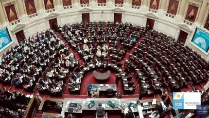 Dabaten la baja de la edad de imputabilidad en Diputados: cómo es el proyecto. Dabaten la baja de la edad de imputabilidad en Diputados: cómo es el proyecto.