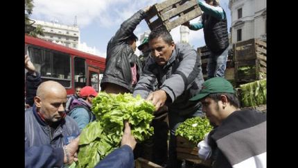pequenos productores realizaran un verdurazo frente a la rural