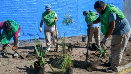 Tras limpiar el basural se plantan especies nativas y señalizan el lugar.