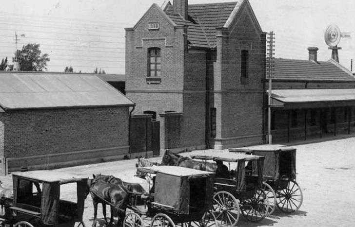 Ordenaron la circulación de los caballos por las calles.
