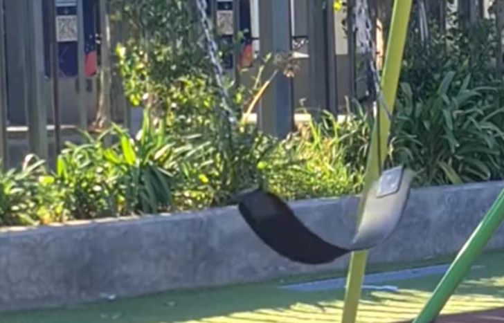 El video impactó a los vecinos.