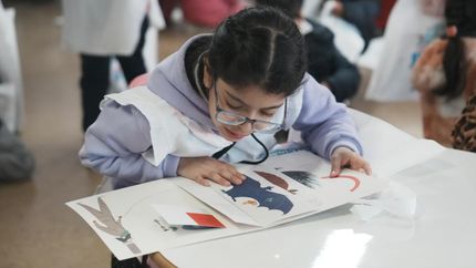 Ya entregaron más de 40 mil libros en escuelas.