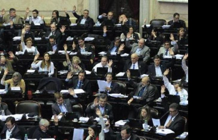 diputados-votan