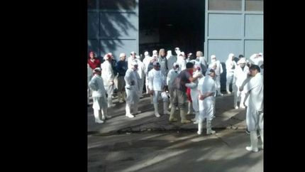 cresta roja: denuncian la paralizacion de las plantas