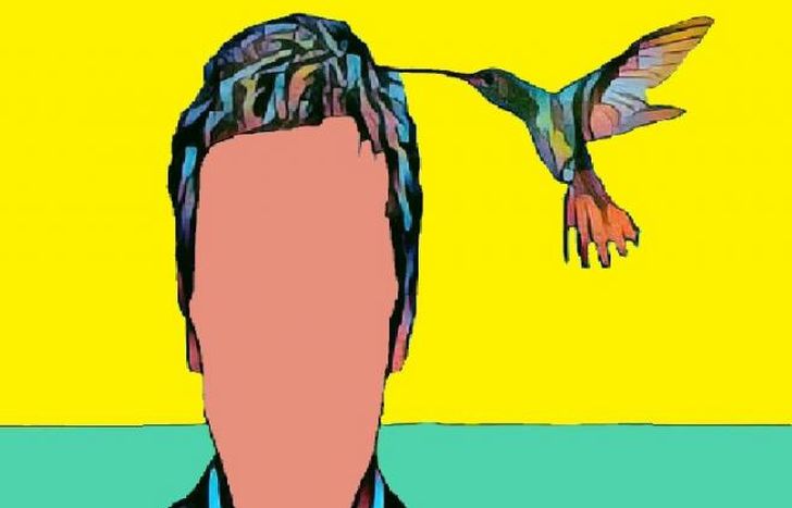 Última edición del año.